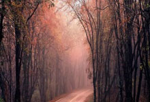 改写成乌兹别克斯坦足球队实力全开发