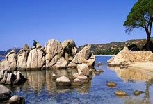 那不勒斯主场大胜，继续追赶积分榜